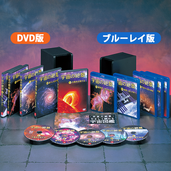 F̐i DVDS5