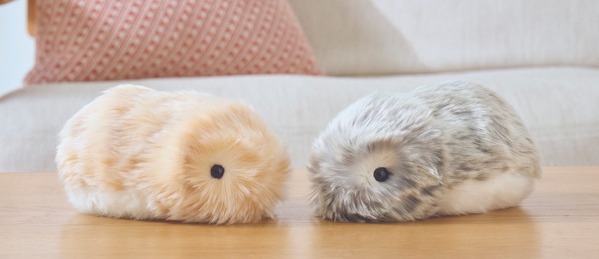 y*e様 モフリン♡ AIペットロボット mf_slider_pc_1.jpg