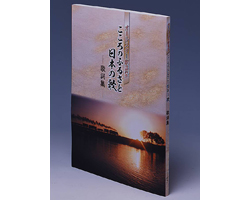 オールスター歌謡祭 こころのふるさと 日本の歌 CD全10巻