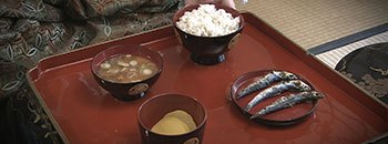 第5巻 江戸の七不思議 長寿と健康 謎解き!江戸のススメ DVD全10巻