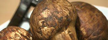 第6巻 江戸のグルメ 江戸の値段 謎解き!江戸のススメ DVD全10巻