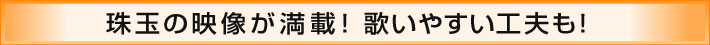 珠玉の映像が満載！歌いやすい工夫も！