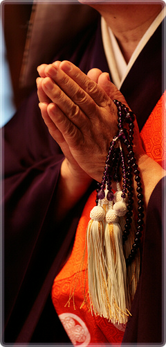 菅野日彰の「はじめての法華経」 CD全13巻 ｜【公式】ユーキャン