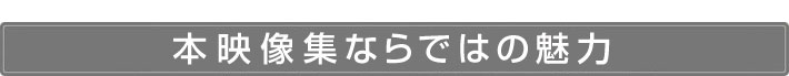 「本と新聞の大学 DVD全6巻」ならではの魅力