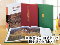 油彩画　ひなげし　額　森清治郎 油彩画 ひなげし 額 森清治郎