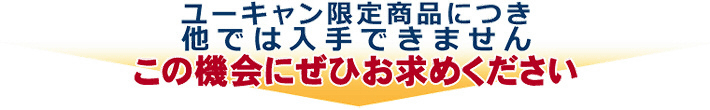 ユーキャン限定商品につき他では入手できません。この機会にぜひお求めください。