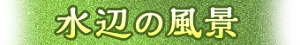 水辺の風景
