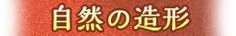 自然の造形