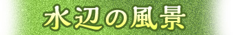 水辺の風景