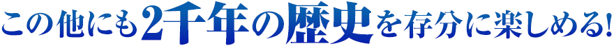 この他にも2千年の歴史を存分に楽しめる!