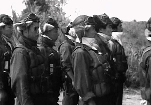 大日本帝国 陸海軍航空隊 DVD全6巻 ｜【公式】ユーキャンの通販