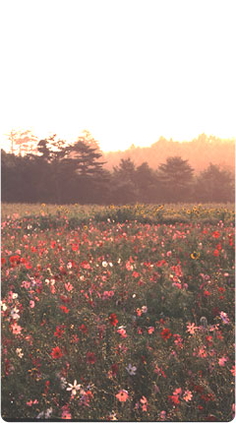 酒井大岳講話集