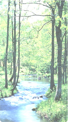 酒井大岳講話集