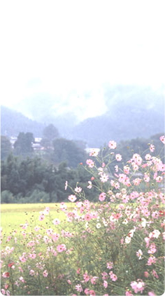 酒井大岳講話集