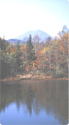 酒井大岳講話集