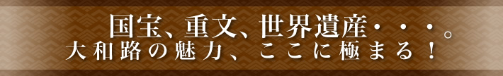 国宝、重文、世界遺産・・・。大和路の魅力、ここに極まる！