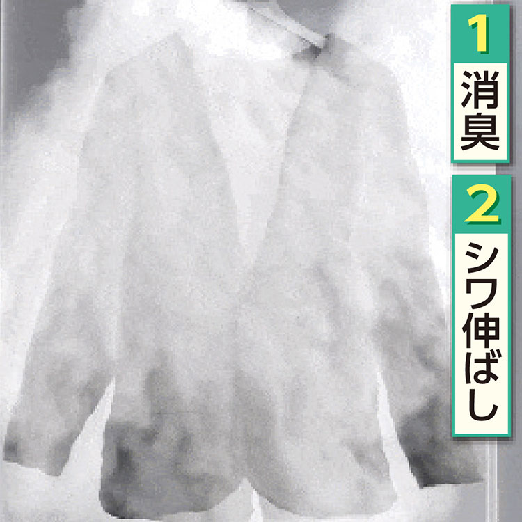 スチームイオンリフレッシャー