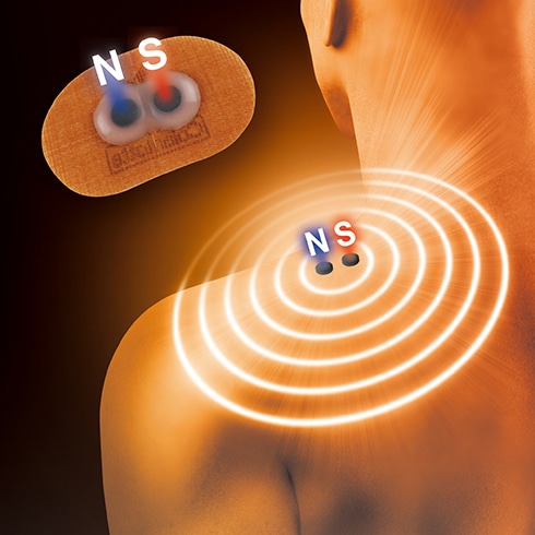 コラントッテ NSマグネバンセット（10枚×10セット）