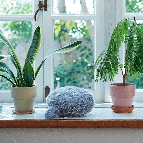 しっぽクッションPetit Qoobo（プチ・クーボ） グリ（灰色）