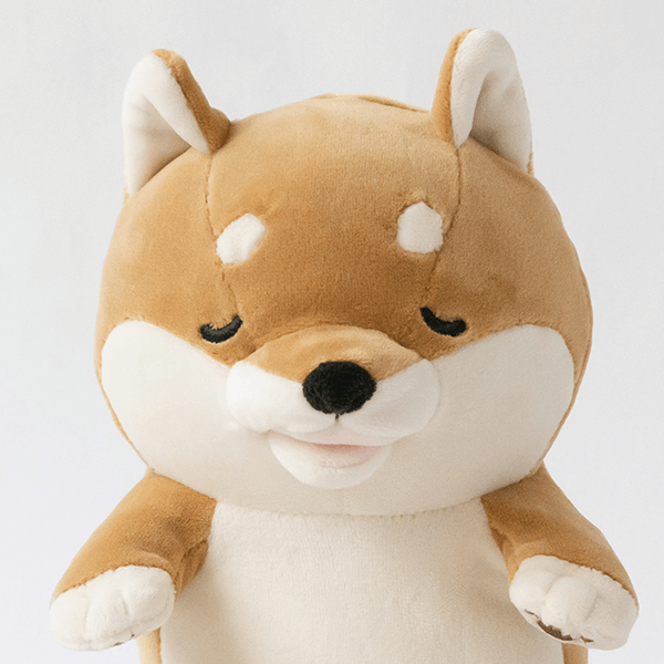 コタロウ（シバイヌ）