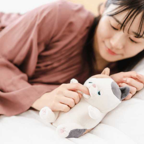 甘噛みハムハム コタロウ（シバイヌ）