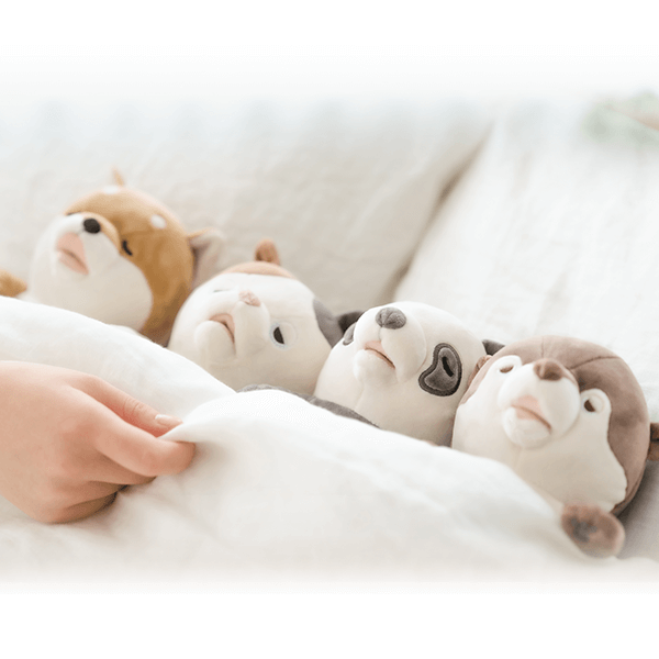 甘噛みハムハム コタロウ（シバイヌ）