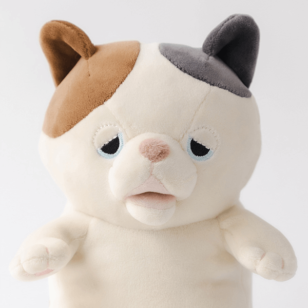 ゆず（ミケネコ）