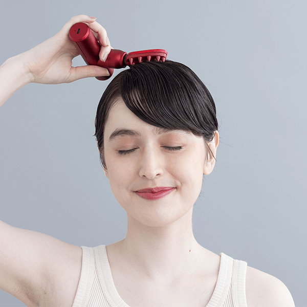 ルルドガンプラスアーム レッド