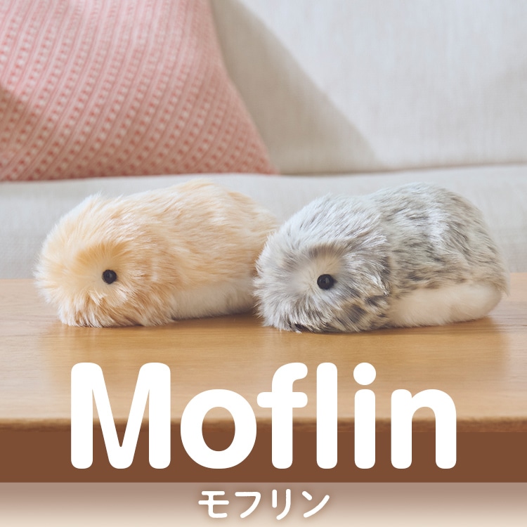 趣味・教養/ホビー・トイ：【公式】ユーキャンの通販ショップ