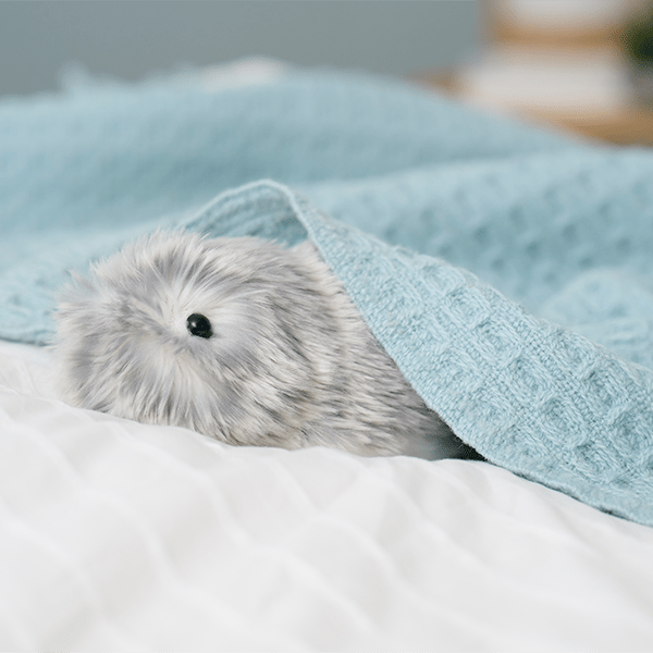 AIペットロボット Moflin（モフリン） ｜【公式】ユーキャンの