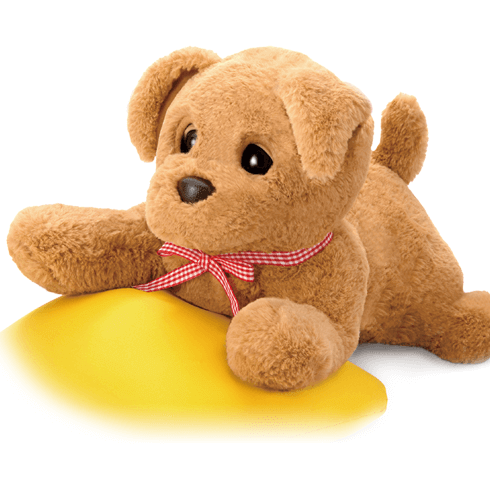 ダッキースター