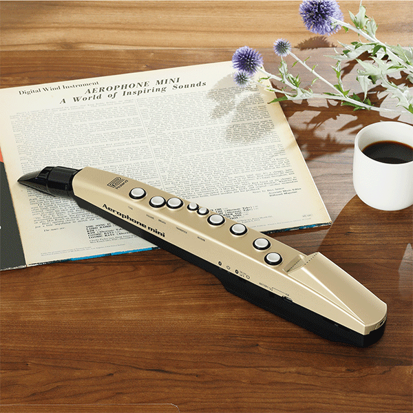 エアロフォン・ミニ　ユーキャンモデル
