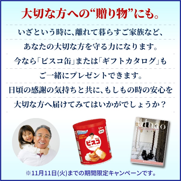 デカ暖3 大容量お得セット カセットガス48本付き