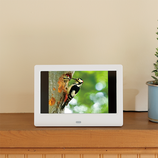 キヤノン 望遠鏡型カメラ