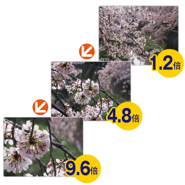 キヤノン 望遠鏡型カメラ