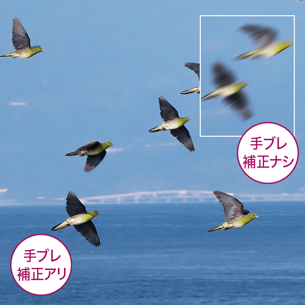 キヤノン 望遠鏡型カメラ