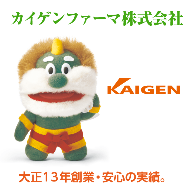 メモカムイ（３個セット）