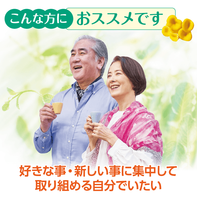 メモカムイ（３個セット）