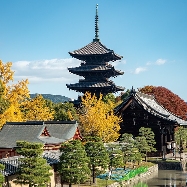 京都探訪 DVD全10巻