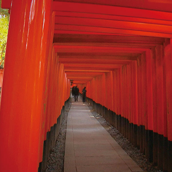 京都探訪 DVD全10巻