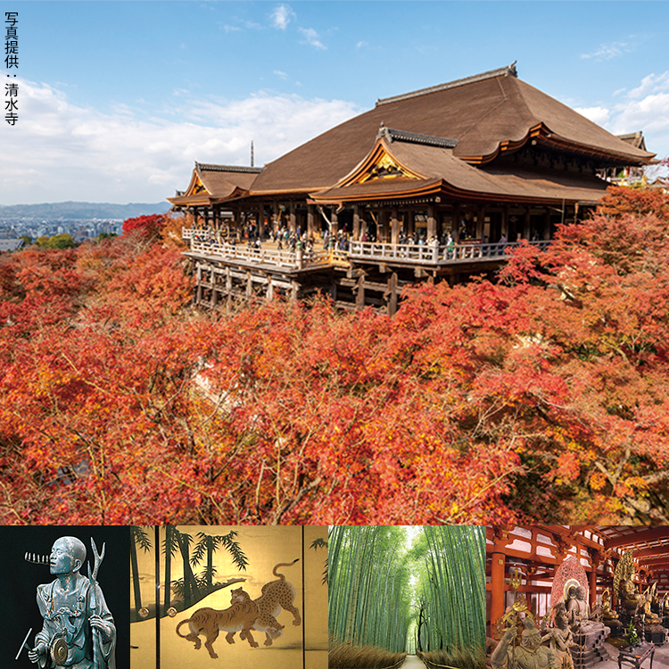 京都探訪 DVD全10巻