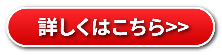 災害用トイレ100回分「マイレット」
