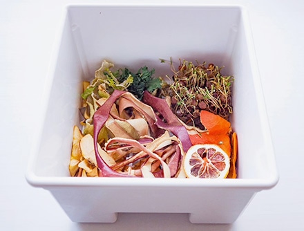 電動生ごみ処理機ルーフェン