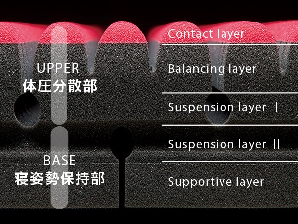 DR4構造イメージ