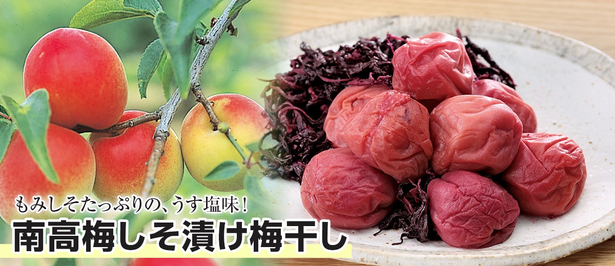南高梅しそ漬け梅干し（計１㎏）
