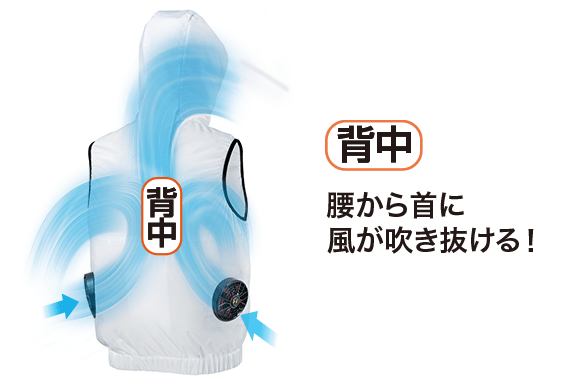 背中：腰から首に風が吹き抜ける！