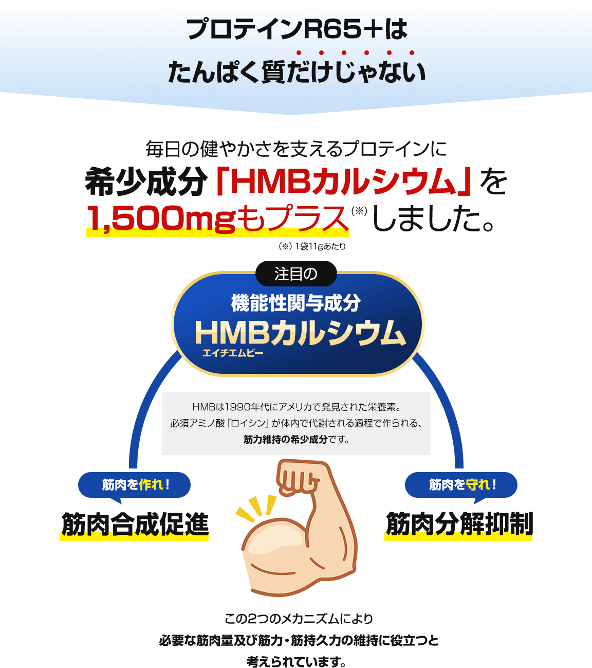 HMBとカルシウムをプラス