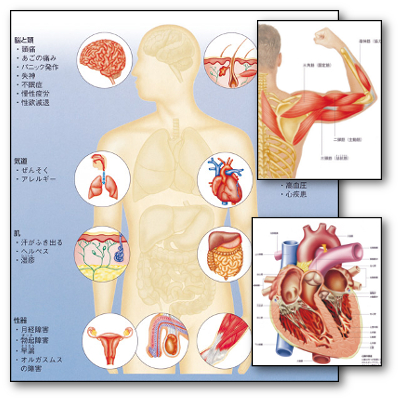 暮らしの医学大百科 書籍全5巻 | ユーキャン通販ショップ