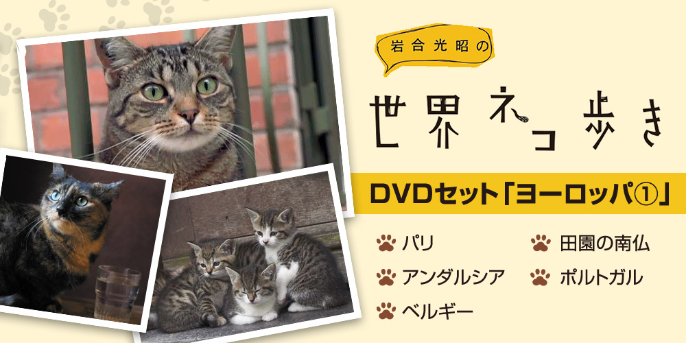 岩合光昭の世界ネコ歩き DVDセット「ヨーロッパ①」