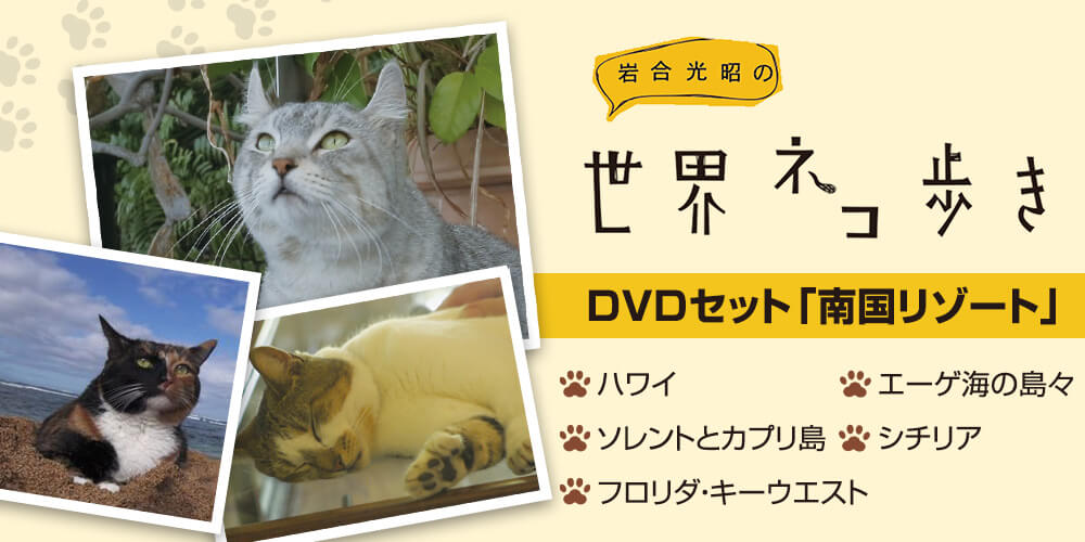 岩合光昭の世界ネコ歩き DVDセット「南国リゾート」
